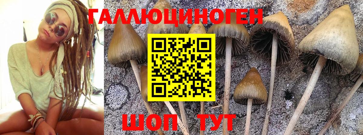 Псилоцибиновые грибы мухоморы Нижневартовск