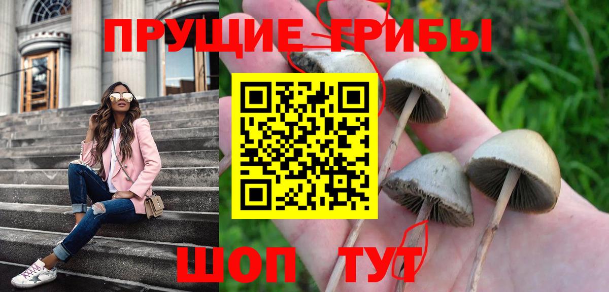 Псилоцибиновые грибы Cubensis  Вход с VPN  Нижневартовск 